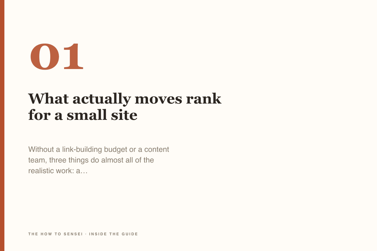 SEO Basics Without the Jargon